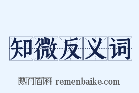 知微反义词是什么意思的图片